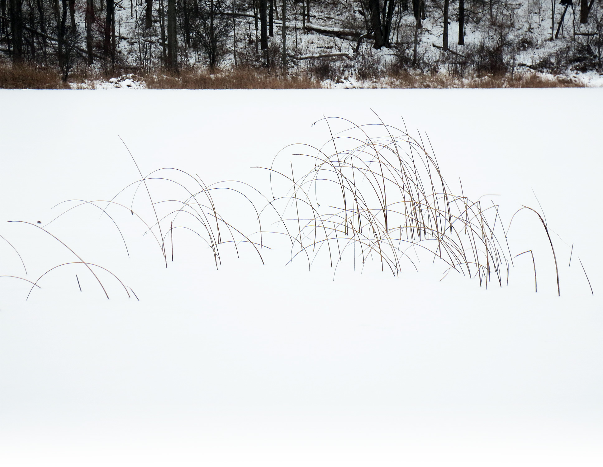 'Mendon Ponds, December 17, 2017, 2:30 PM,' copyright &copy; 2017 mendonponds.com.'