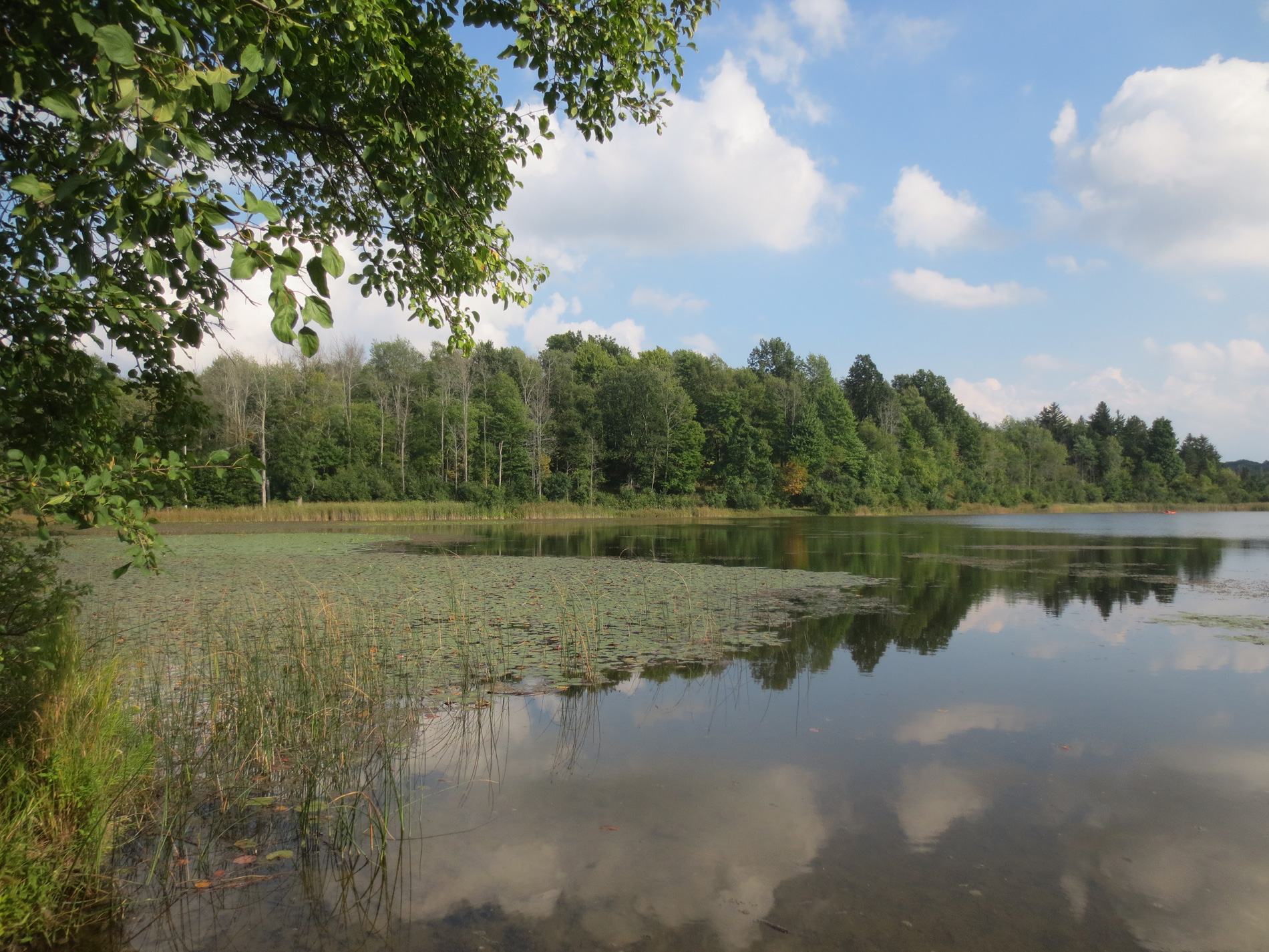 'Mendon Ponds, September 18, 2018, 4 PM,' copyright &copy; 2018 mendonponds.com.